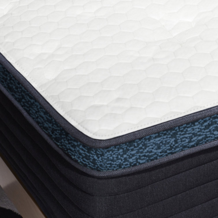 Helix Luxe 13.5'' Plush Euro Pillow Top Accent Mattress Only & Reviews